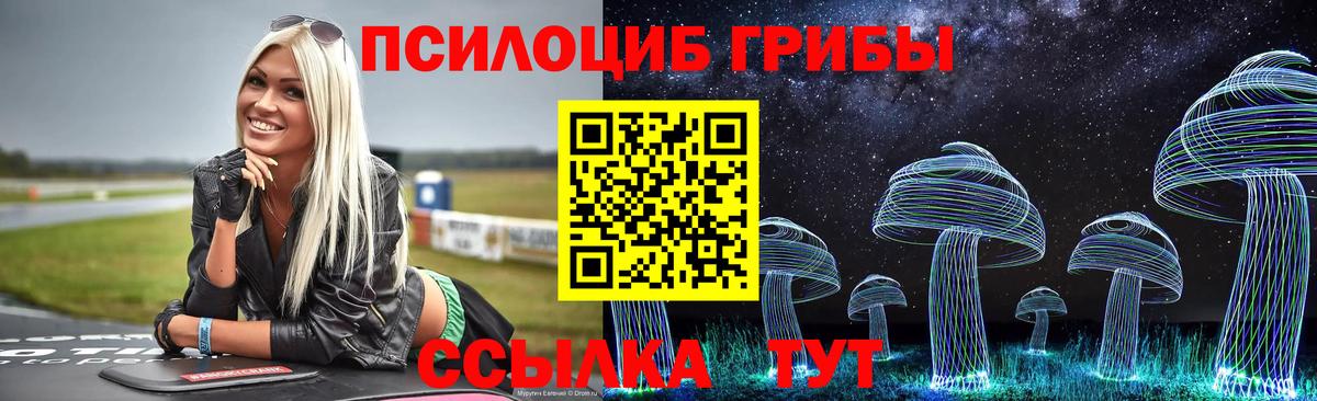 Сосновоборск  где можно купить наркотик  Вход с VPN  Псилоцибиновые грибы Psilocybine cubensis 